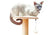 accessoires pour chats : du pratique au tendance