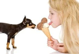 chien et glace 