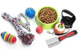 accessoires pour chien