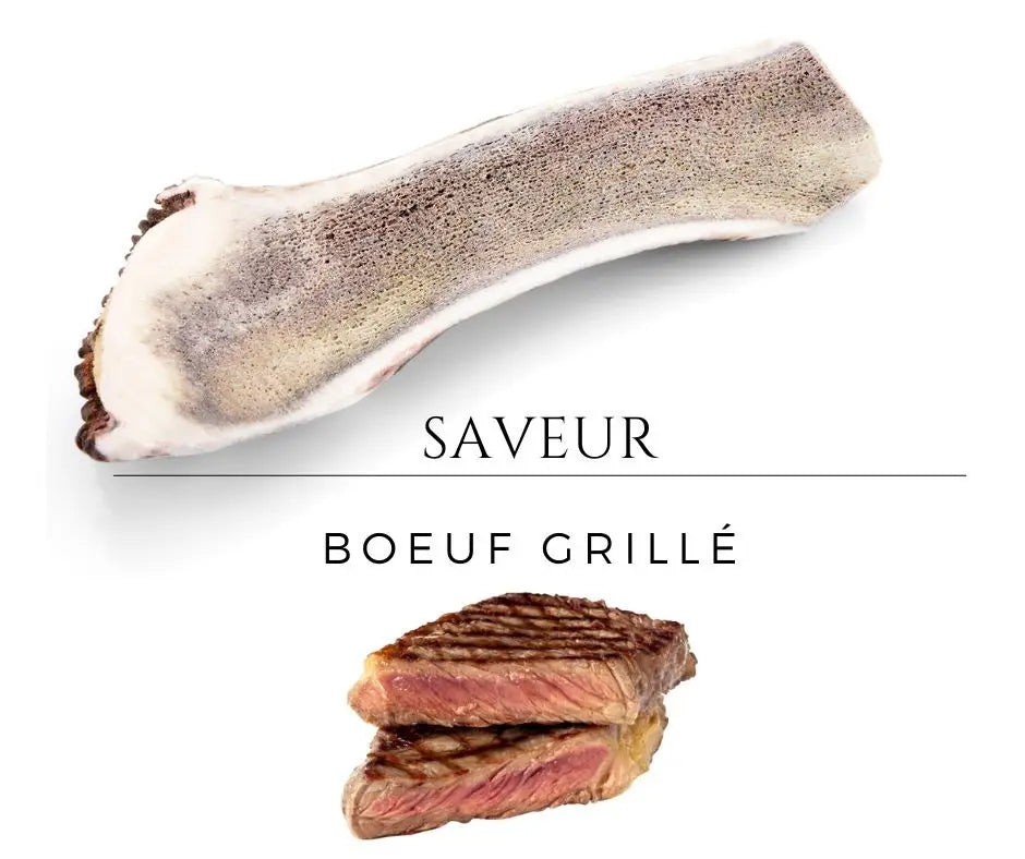 bois-cerf-tranche-aromatise-chien boeuf grillé