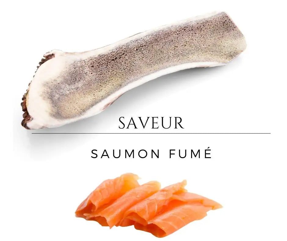 bois-cerf-tranche-aromatise-chien saumon fumé