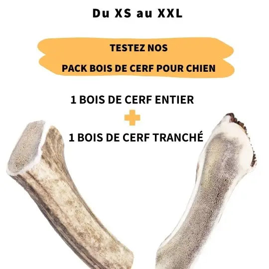 box-bois-cerf-entier-tranche-chien