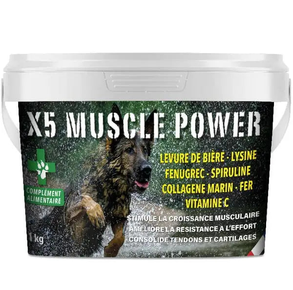 complement-alimentaire-pour-chien-x5-muscle-power