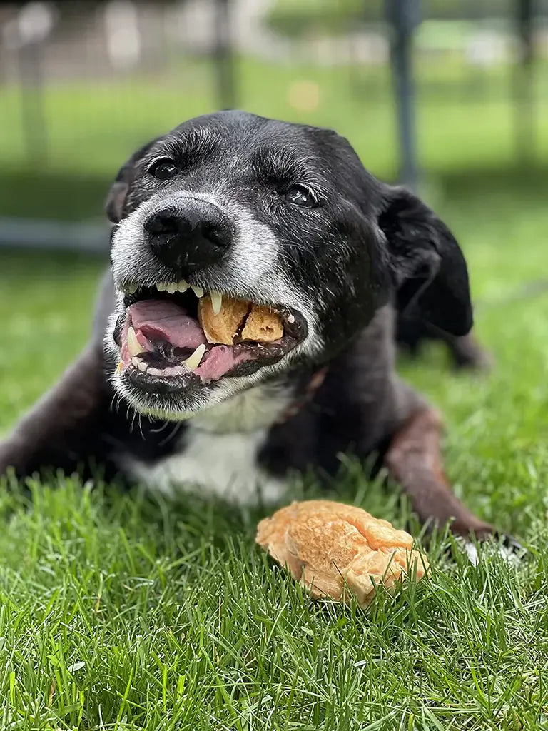 fromage_de_yak_crunchy_pour_chien