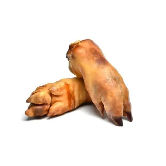 pied-porc-chien