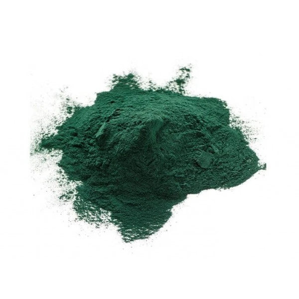 spiruline pour chien