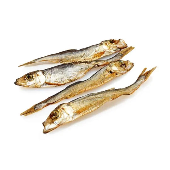 sprats-pour-chien